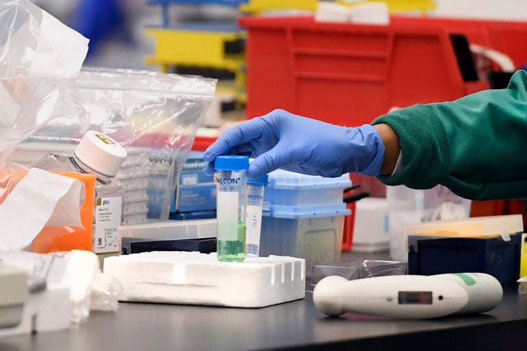 A researcher moves a vial in a lab. Labs are ramping up their research, in the hopes of finding a vaccine for COVID-19. (Jessica Hill/AP Photo)