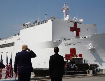 President Donald Trump salutes as the U.S. Navy hospital ship USNS Comfort pulls away from the pier at Naval Station Norfolk in Norfolk, Va. (Patrick Semansky/AP Photo)