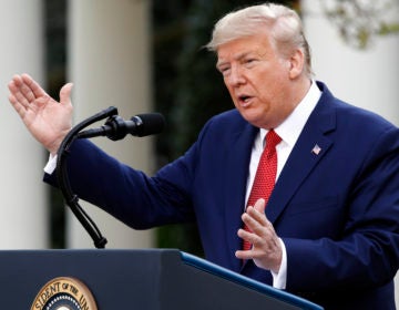 President Donald Trump speaks during a coronavirus task force briefing in the Rose Garden of the White House, Sunday, March 29, 2020, in Washington. (Patrick Semansky/AP Photo)