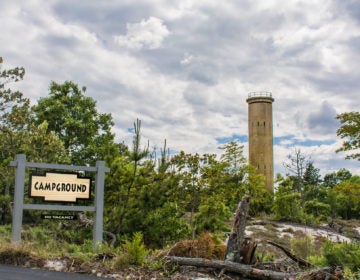 Cape Henlopen State Park in Lewes