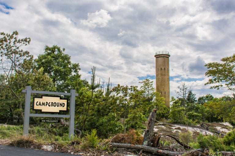 Cape Henlopen State Park in Lewes