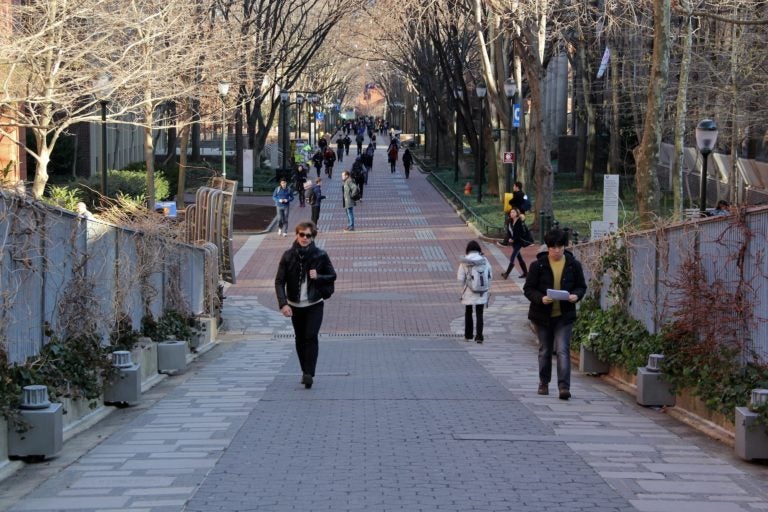 Locust Walk on the University of Pennsylvania campus. (Emma Lee/WHYY)