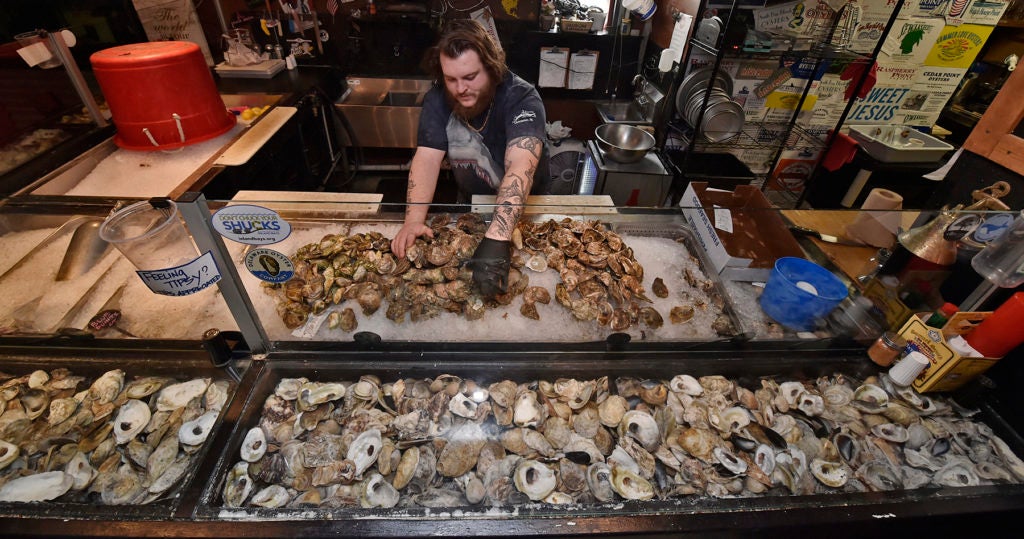 Improving Delaware Estuary With Wider Oyster Shell Recycling - Whyy