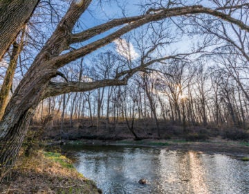 Big Elk Creek in early spring in Elk Township, Pennsylvania. (Courtesy of Jerry Monkman 