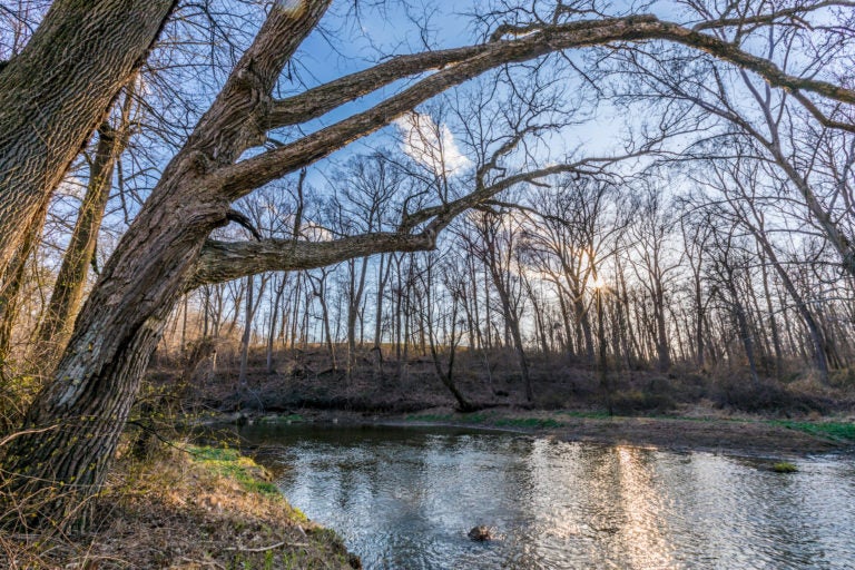 Big Elk Creek in early spring in Elk Township, Pennsylvania. (Courtesy of Jerry Monkman 