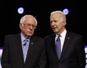 Sen. Bernie Sanders and former Vice President Joe Biden. (Matt Rourke/AP Photo)