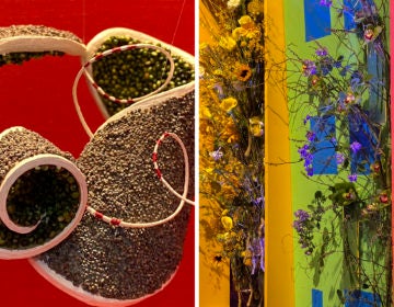 Two very different but equally striking displays at the 2020 Philadelphia Flower Show (Danya Henninger/Billy Penn)