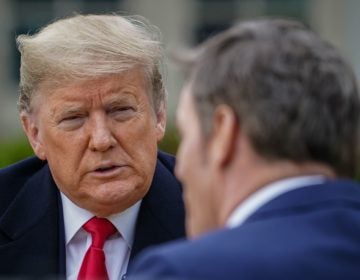 President Trump speaks with anchor Bill Hemmer during a Fox News virtual town hall from the Rose Garden of the White House on Tuesday. (Mandel Ngan/AFP via Getty Images)