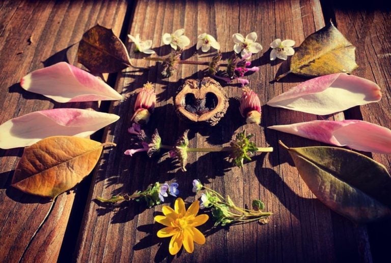 Mari-Carmen Farmer made this arrangement from pods, leaves, buds and blossoms she found along a recent hike. (Mari-Carmen Farmer)