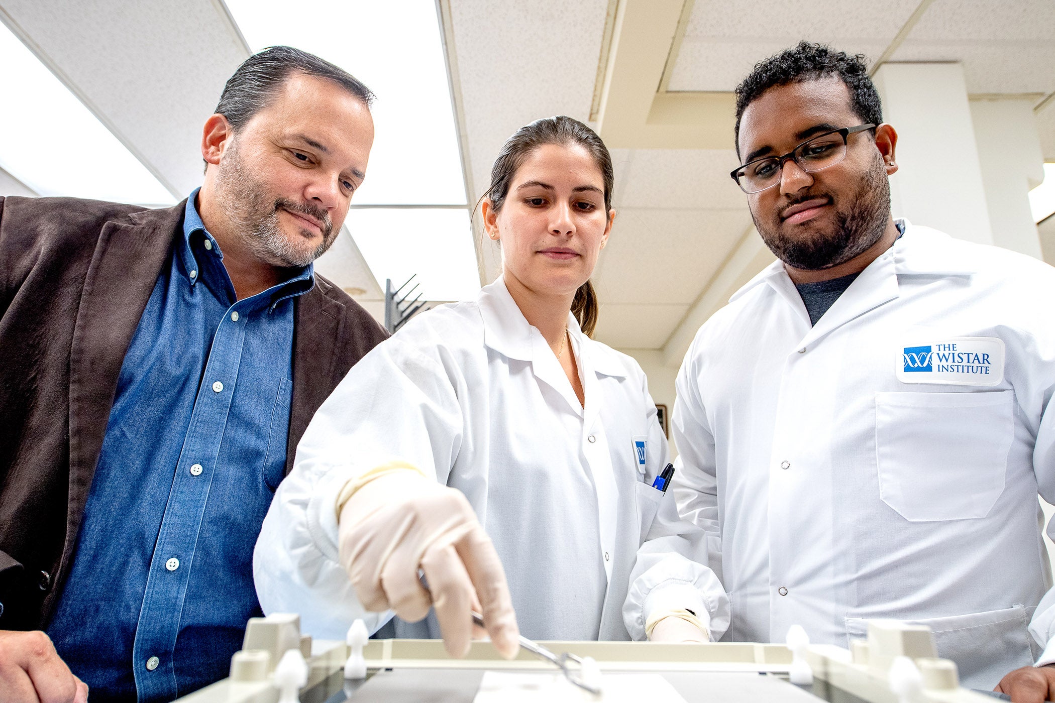 Dr. Luis Montaner and scientists in his lab fine-tune an assay.