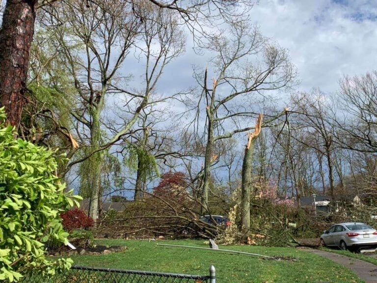 Storm damage Tuesday afternoon in the area of Bay Avenue and Twin Oaks Drive in Toms River. (Photo courtesy of Tom Damiano, as submitted to JSHN)