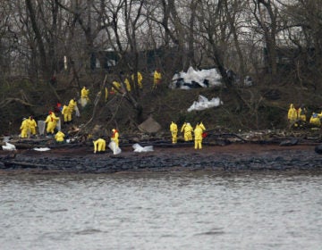 Work crews clean oil off the banks of the Delaware River in National Park, N.J., Monday, Dec. 6, 2004. The Athos I spilled as much as 470,000 gallons of thick crude oil into the Delaware River, killing wildlife and spreading along 70 miles of the waterway. (Joseph Kaczmarek/AP Photo)