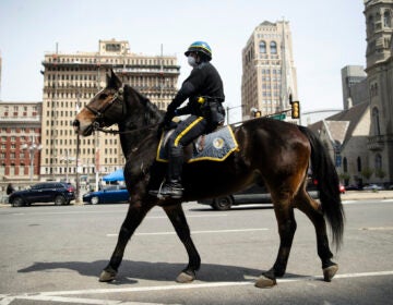 A mounted police officer patrols while wearing a protective face mask as a precaution against the coronavirus in Philadelphia, Friday, April 17, 2020. (AP Photo/Matt Rourke)