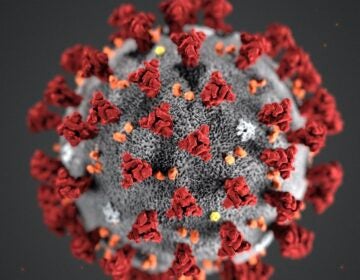 This illustration provided by the Centers for Disease Control and Prevention (CDC) in January 2020 shows the 2019 Novel Coronavirus (2019-nCoV). (CDC via AP, File)