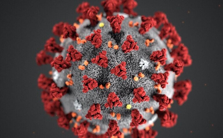 This illustration provided by the Centers for Disease Control and Prevention (CDC) in January 2020 shows the 2019 Novel Coronavirus (2019-nCoV). (CDC via AP, File)