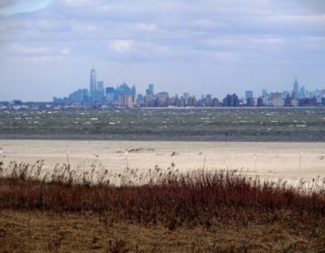 Sandy Hook (National Park Service)