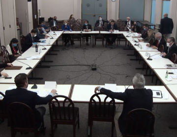 The House State Government Committee meets on April 27, 2020.