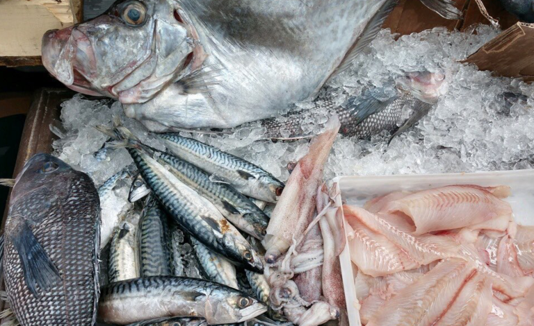 Wholesale fish hotsell suppliers near me