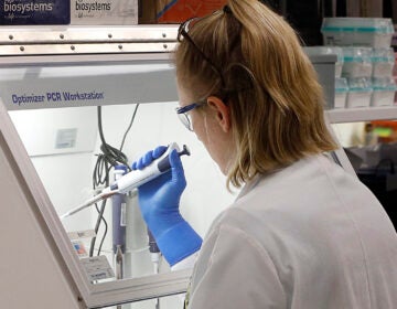 An employee of the Department of General Services Division of Consolidated Laboratories' Virginia Public Health Labratory adds chemicals in the second step of testing a sample for the Coronavirus at the lab in Richmond, Va. on Wednesday, March 4, 2020. (Joe Mahoney/Richmond Times-Dispatch via AP)