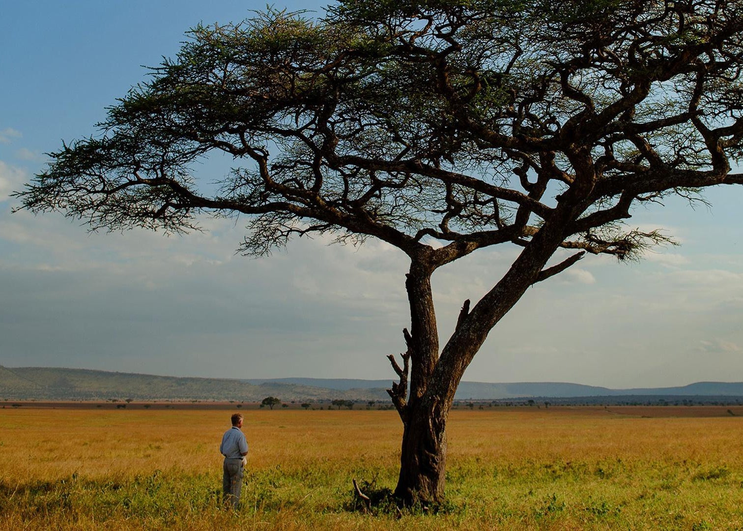 Nature: The Serengeti Rules