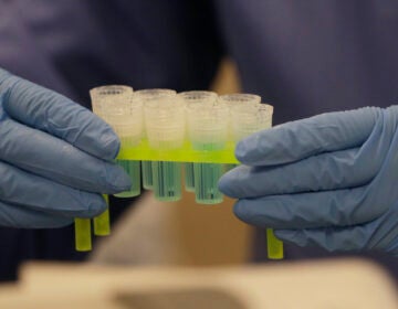 In this April 3, 2020, photo, a technician holds blue preservation solution in a clean room where saliva collection devices are assembled at Spectrum DNA in Draper, Utah. The company has developed a test kit to detect the coronavirus in patients' saliva. (AP Photo/Rick Bowmer)