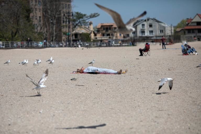 A woman sleeps on Brighton beach undisturbed by seagulls fluttering around her in the Brooklyn borough of New York, on Saturday, April 25, 2020. (AP Photo/Wong Maye-E)