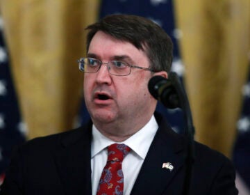 Veterans Affairs Secretary Robert Wilkie speaks about protecting seniors, in the East Room of the White House, Thursday, April 30, 2020, in Washington. (AP Photo/Alex Brandon)