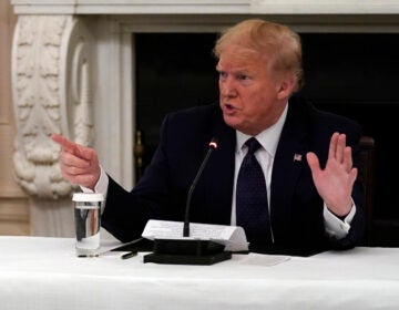 President Donald Trump tells reporters that he is taking zinc and hydroxychloroquine during a meeting with restaurant industry executives about the coronavirus response, in the State Dining Room of the White House, Monday, May 18, 2020, in Washington. (AP Photo/Evan Vucci)