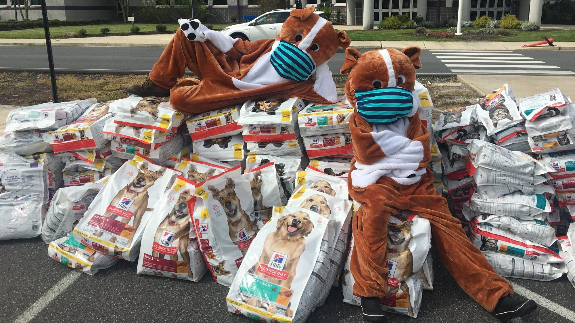 Brandywine Valley SPCA drive-thru pet food pantry