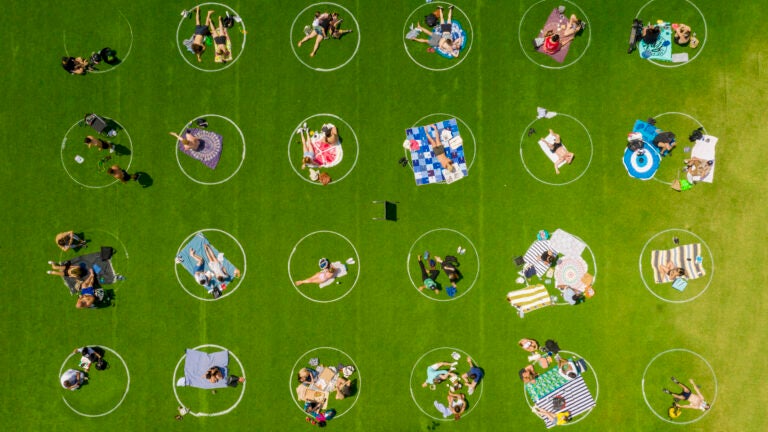 Circles drawn on the lawn of Domino Park in Brooklyn help enforce social distancing guidelines. (Two Trees Management)