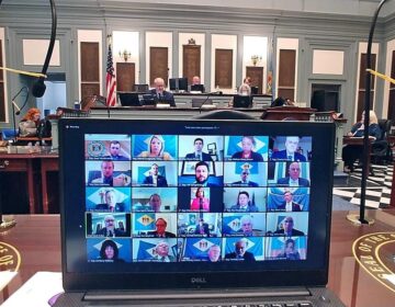 Delaware State Representatives met for the first time in history via a virtual session on Tuesday. (courtesy House Democratic Caucus)