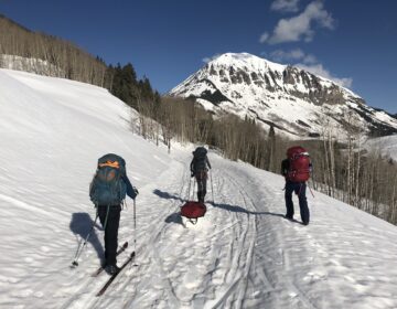 For the past 17 years, Dan Blumstein and his research team have skied into the Crested Butte Mountains of Colorado to conduct their annual scientific observations on yellow-bellied marmots. In 2020, the coronavirus is threatening to shut down this research and other types of field research throughout the world. (Image courtesy of Gina Johnson)