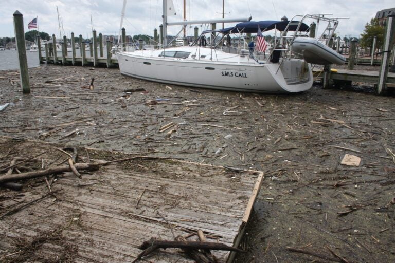 Chesapeake Bay pollution