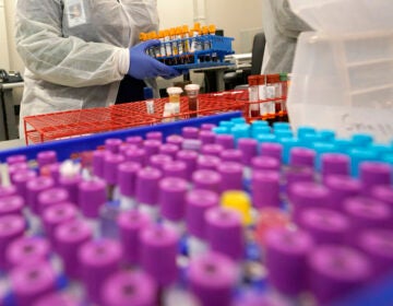 Julie Janke, a medical technologist at Principle Health Systems and SynerGene Laboratory, helps sort samples for different tests Tuesday, April 28, 2020, in Houston. (AP Photo/David J. Phillip)