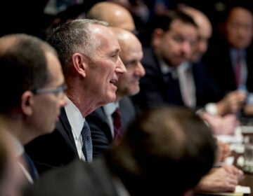 Gilead Sciences CEO Daniel O'Day speaks at a meeting with President Trump and members of the White House coronavirus task force on March 2. (Andrew Harnik/AP Photo)