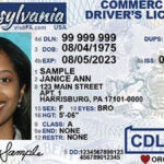 No more DMV! Pa. driver's license renewals to be done online - WHYY