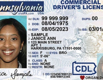 A REAL ID driver’s license sample for Pennsylvania. (PennDOT)