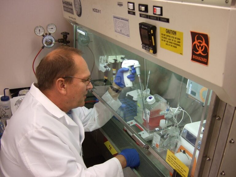 Dr. Matthias Schnell in his lab at Jefferson.