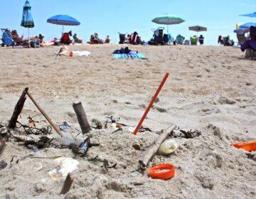 File - Plastic trash is deposited at the high tide line at Monmouth Beach, New Jersey. (Emma Lee / WHYY)