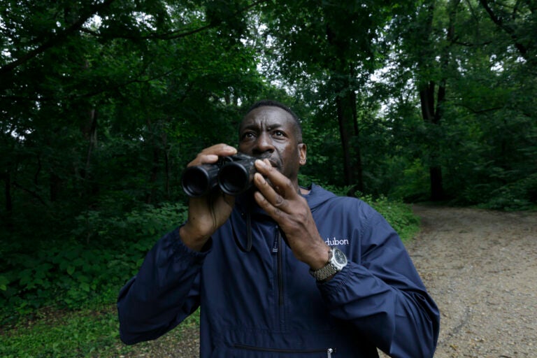 Keith Russell, program manager of urban conservation at Audubon Pennsylvania, lowers his binoculars while conducting a breeding bird census, at Wissahickon Valley Park Friday, June 5, 2020 in Philadelphia. (AP Photo/Jacqueline Larma)