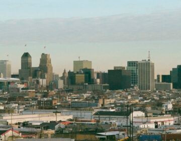 File photo: Newark, New Jersey skyline at dawn, March 18, 2018.