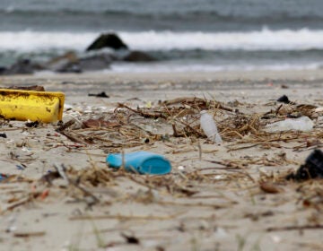 Beach litter