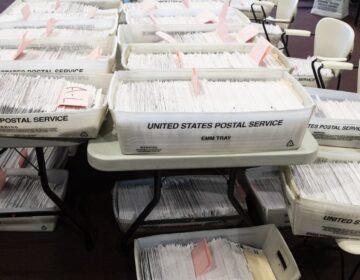 Processed mail-in ballots