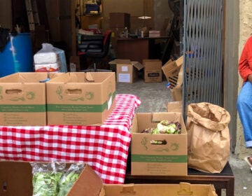 Groceries outside the Germantown Mutual Aid