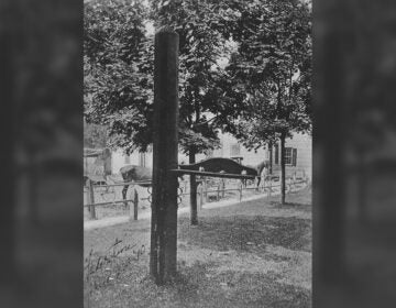 The whipping post in Georgetown, seen here in photo from the Delaware Public Archives, had been on display in the center of town since 1993. It will be taken down as of July 1. (courtesy Delaware Public Archives)