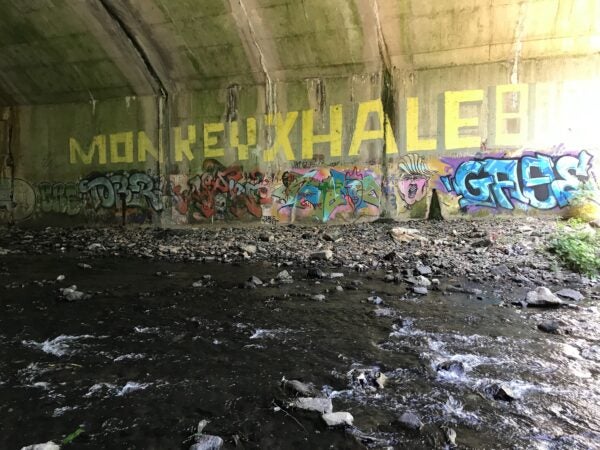 A stretch of Tacony Creek that runs through Olney. (Avi Wolfman-Arent/Keystone Crossroads)