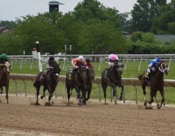 The field of horses races down the front stretch on opening day at Delaware Park in Stanton, Delaware. (Mark Eichmann/WHYY)