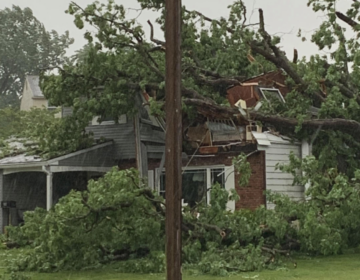 (Screenshot via NBC10)