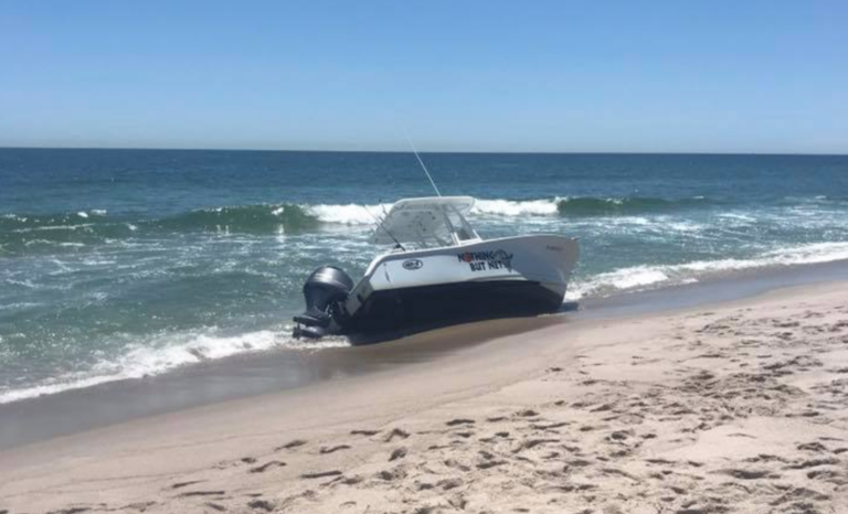 A boat on the shoreline in Seaside Park are colliding with a whale Monday morning. (Image courtesy of Friends of Seaside Park via Facebook)