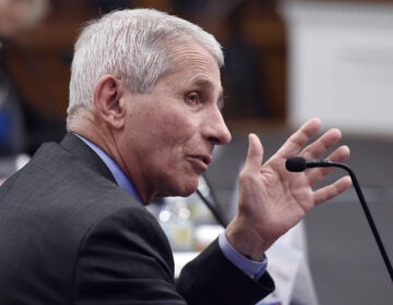Anthony Fauci, director of the National Institute of Allergy and Infectious Diseases is pictured testifying in March on Capitol Hill. He and others leading the federal coronavirus response testify before the House Energy and Commerce Committee on Tuesday.